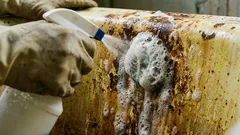 Dit mengsel verwijdert zelfs hardnekkige roestgele vlekken in het bad: schoonmaakgeheimen