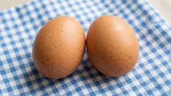 Eieren: wel of niet wassen? Het antwoord van een expert