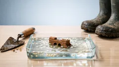 Liangzhu: de 5.000 jaar oude rijststad met een verbluffend waterbeheer