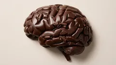 Het geheim van een lang leven en vitaliteit: wat er verandert als je dit ene product toevoegt